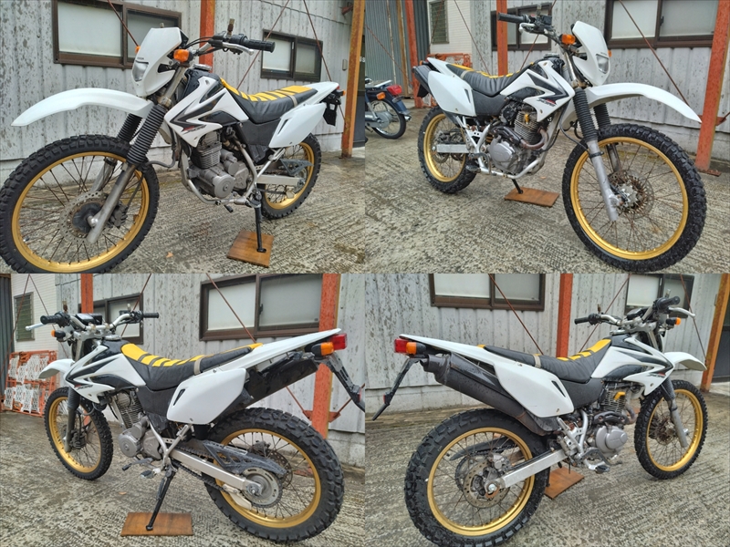 車體畫像②